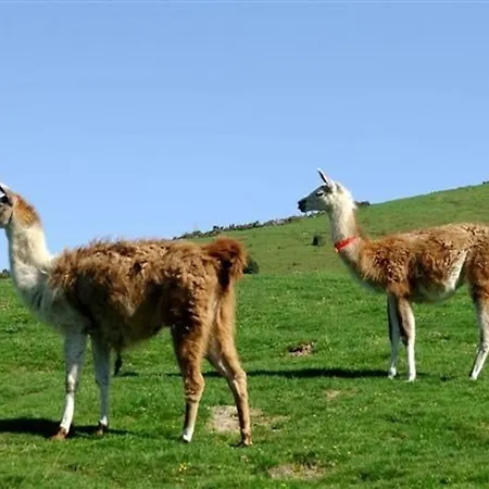 6 Pers. Face Aux Pistes, Balcon Sud, Tv, Cuisine Equipee, Ski-in/ski-out, - Fr-1-404-78 Apartment