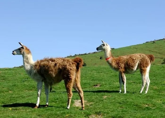 6 Pers. Face Aux Pistes, Balcon Sud, Tv, Cuisine Equipee, Ski-in/ski-out, - Fr-1-404-78 Apartment